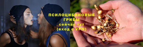 дмт Алексеевка