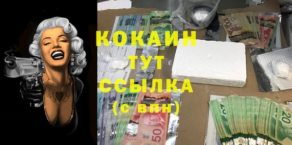 дмт Алексеевка