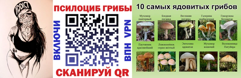 Псилоцибиновые грибы мухоморы  Томск 