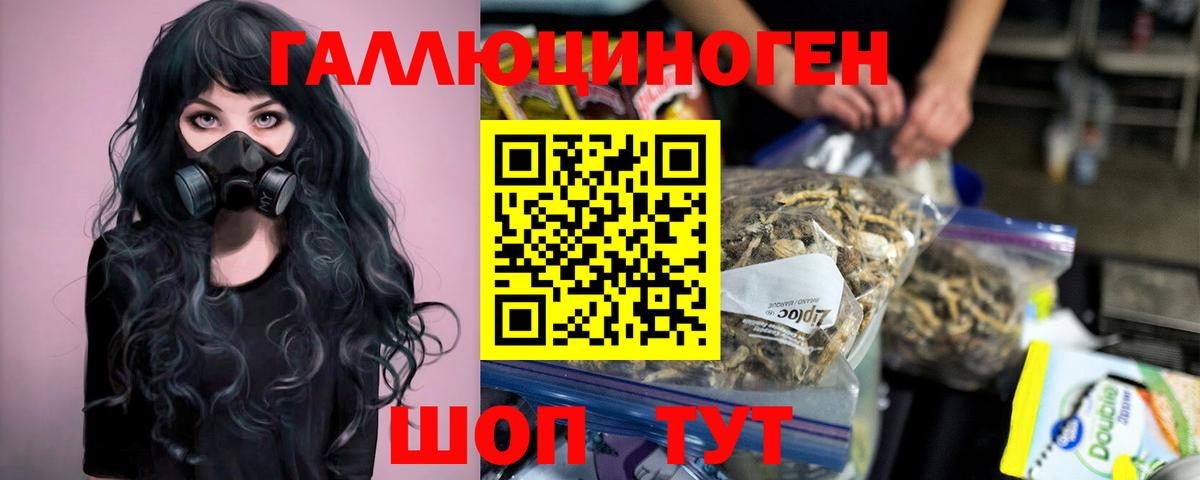 Псилоцибиновые грибы Cubensis Томск
