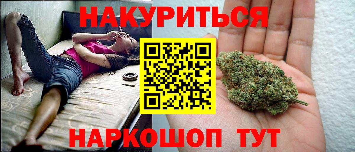 Марихуана сатива Томск